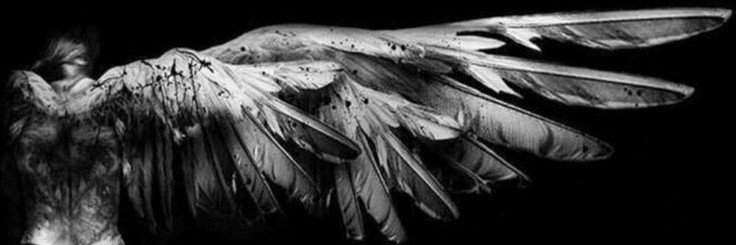 fielabismx's profile banner image
