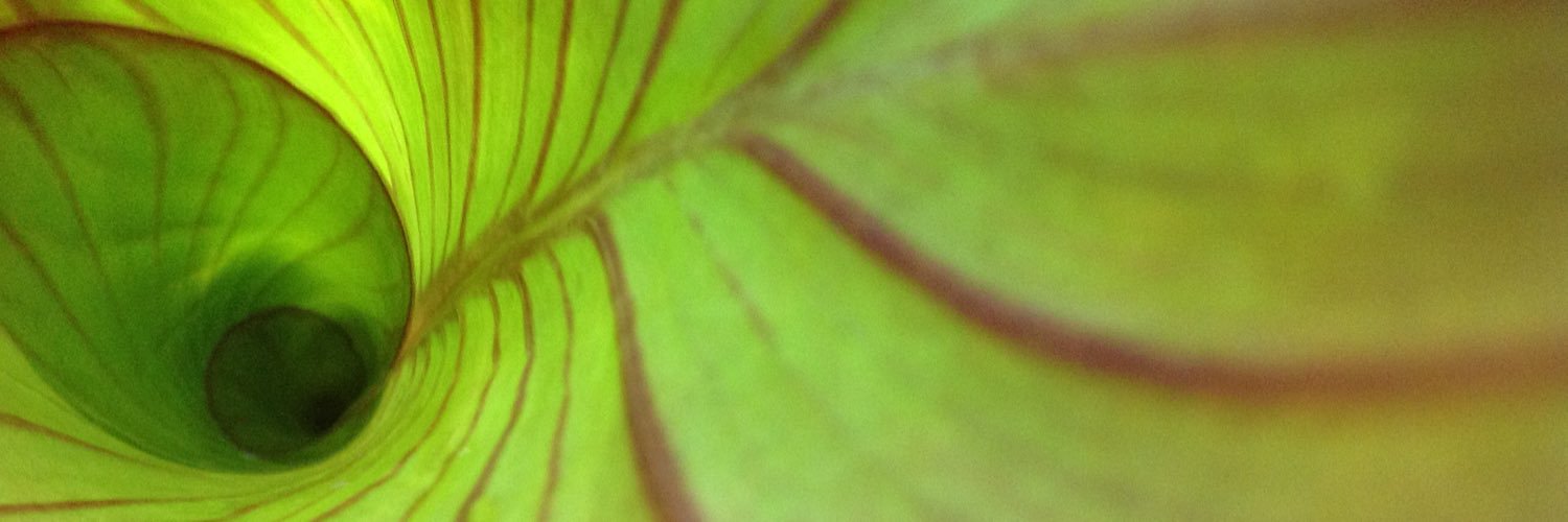 herfabness's profile banner image