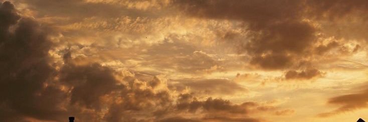 leon .ᐟ⸝⸝ banner
