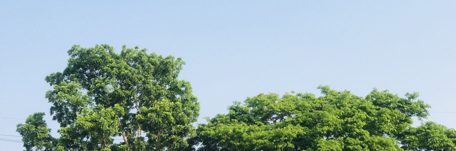 Benedict banner
