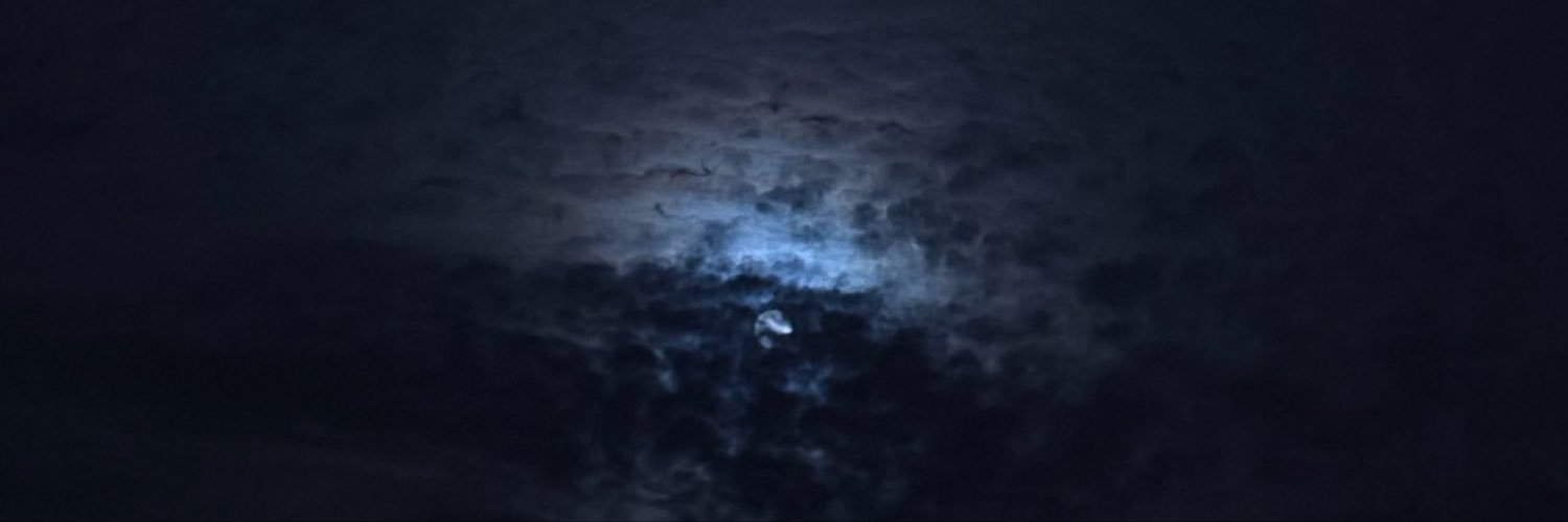 us4nn's profile banner image