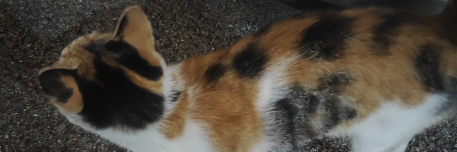 759 banner