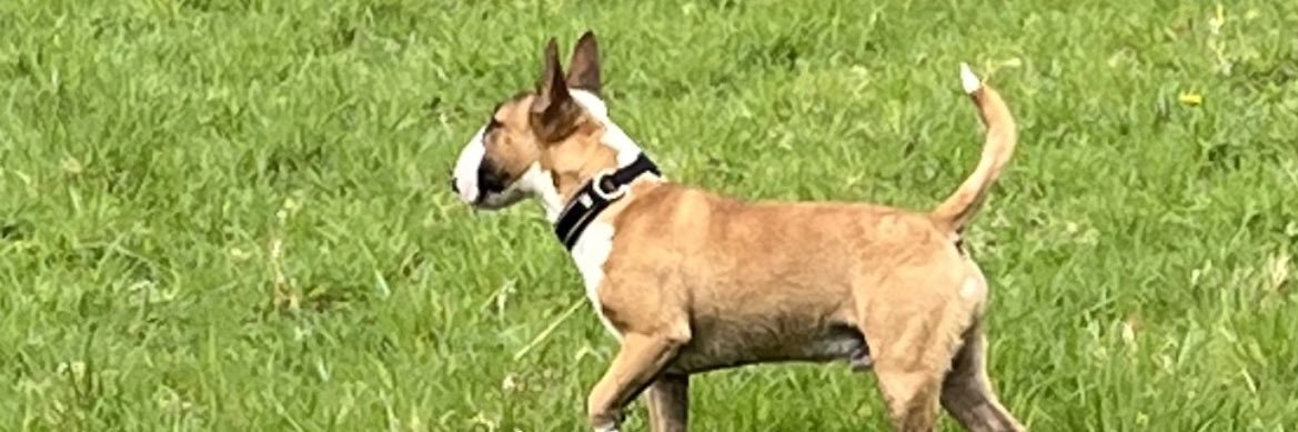 phil (@philbrocken) / Posts / X