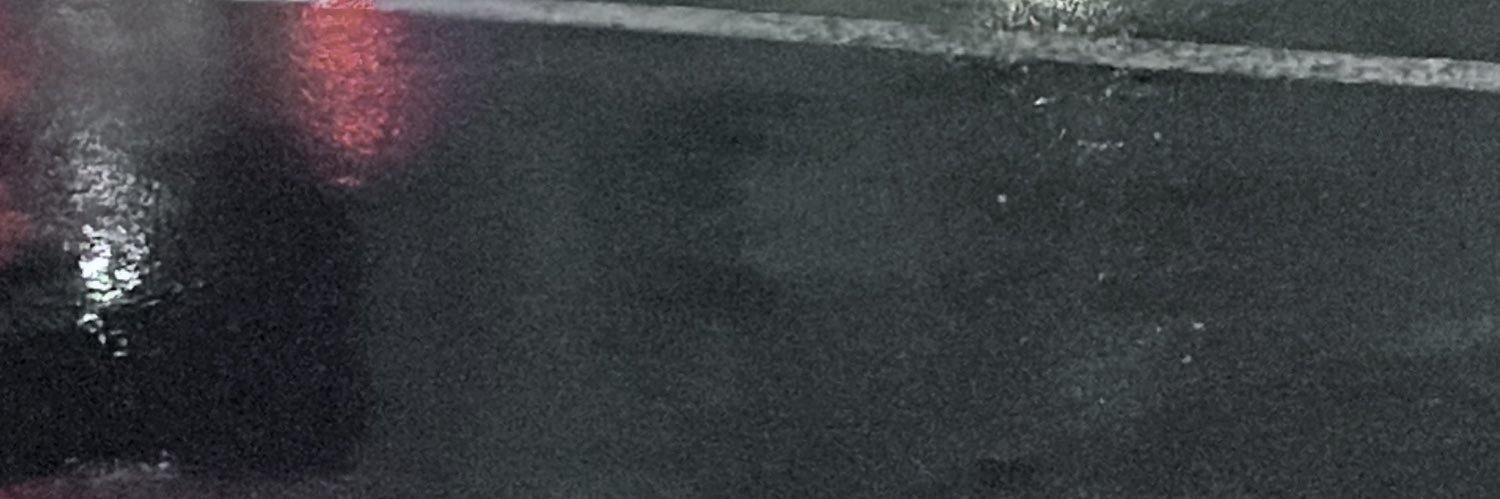 すとりごい banner