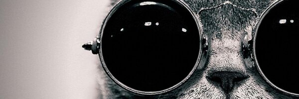 HastingsNick Profile Banner