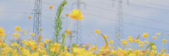 0_niki6's profile banner image