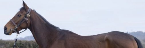 Beightsy's profile banner image