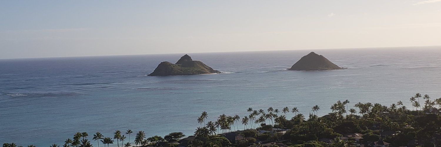 Stuck in the South banner