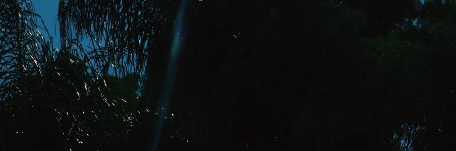 vanessa banner