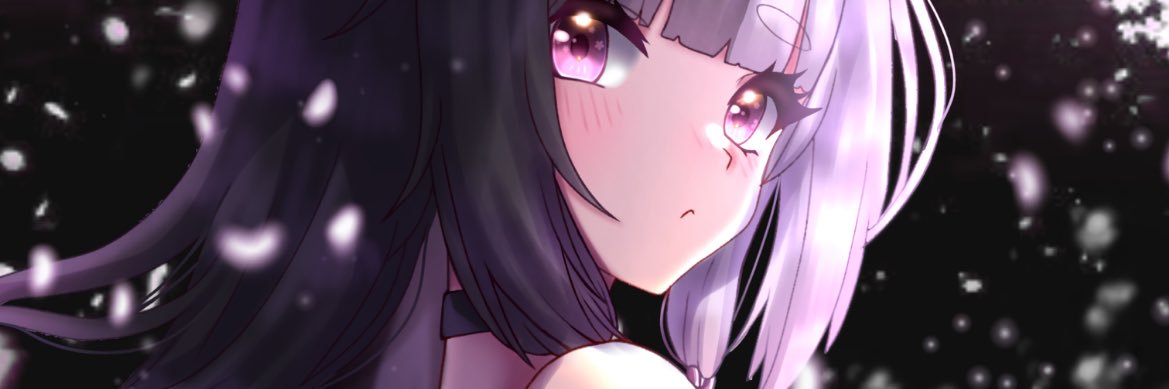Ashe banner