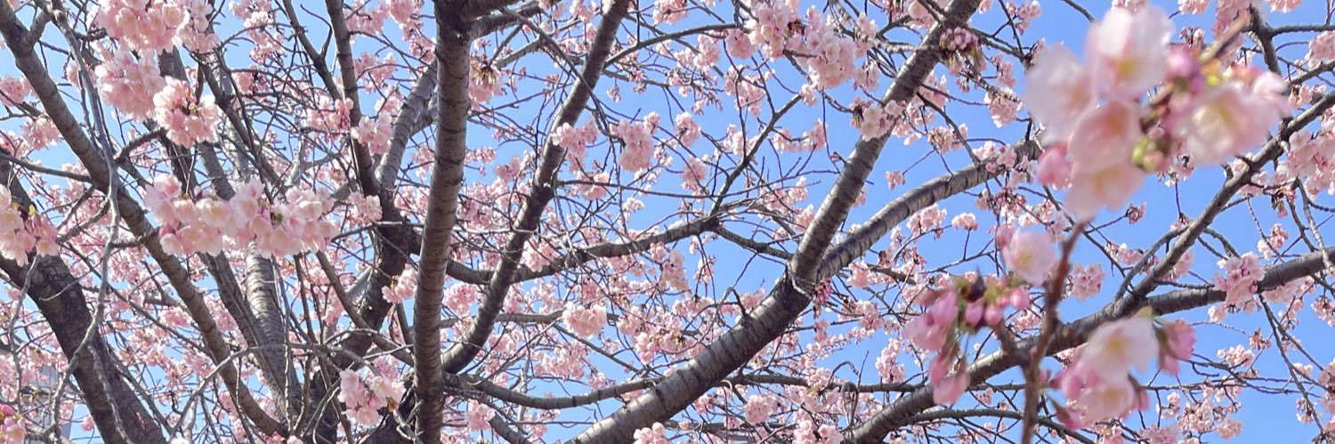 しゅー banner