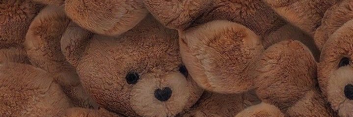 TwoHotBears🧸 banner