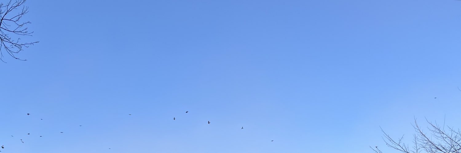 あびび✌️ banner