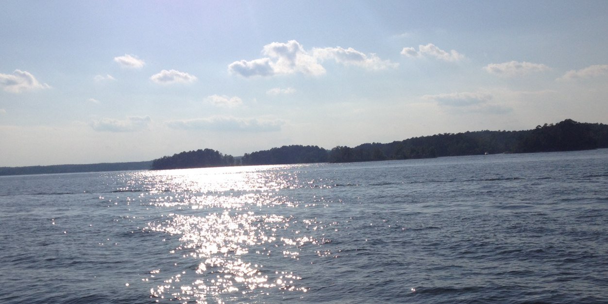 reneerdurham's profile banner image
