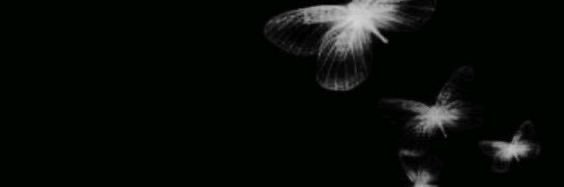 isla. banner
