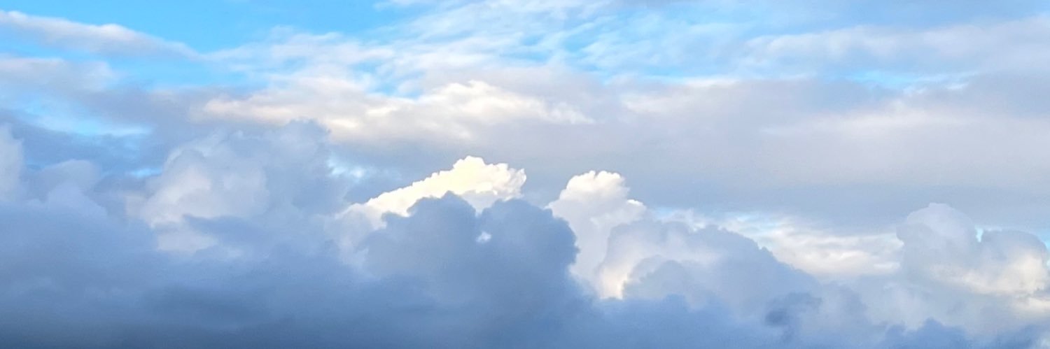 ﾈｺ banner