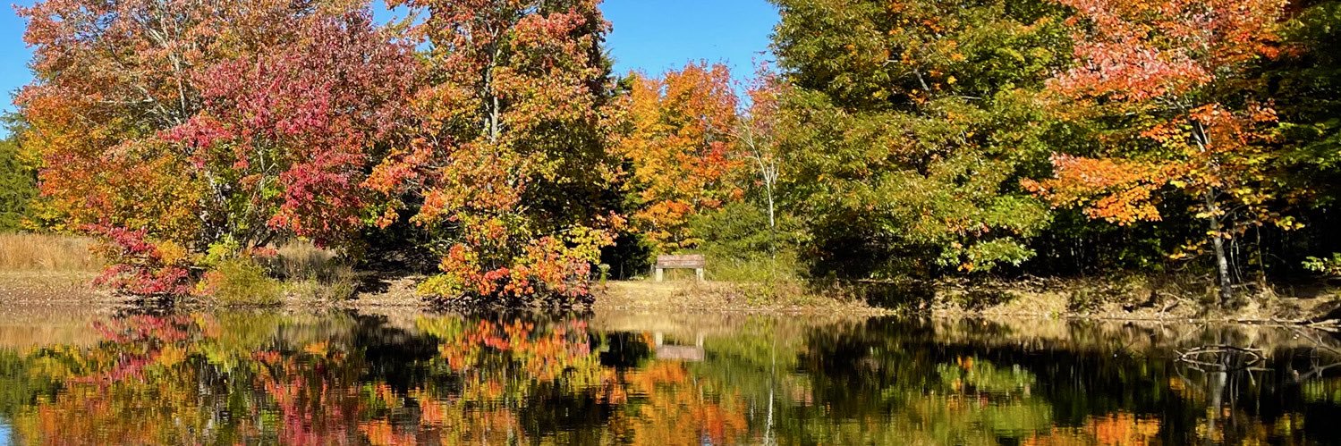 Concerned in USA banner