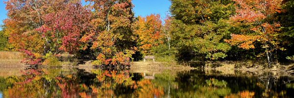AlabamaEngineer Profile Banner