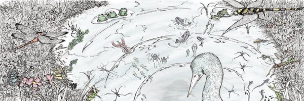 aikohno Profile Banner