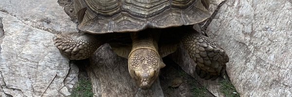 n_manu06 Profile Banner