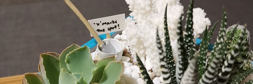 Rollingturtles's profile banner image