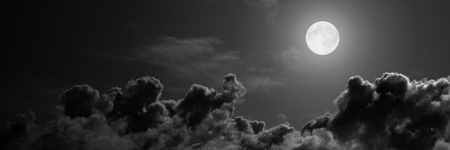 brawndothebrave's profile banner image
