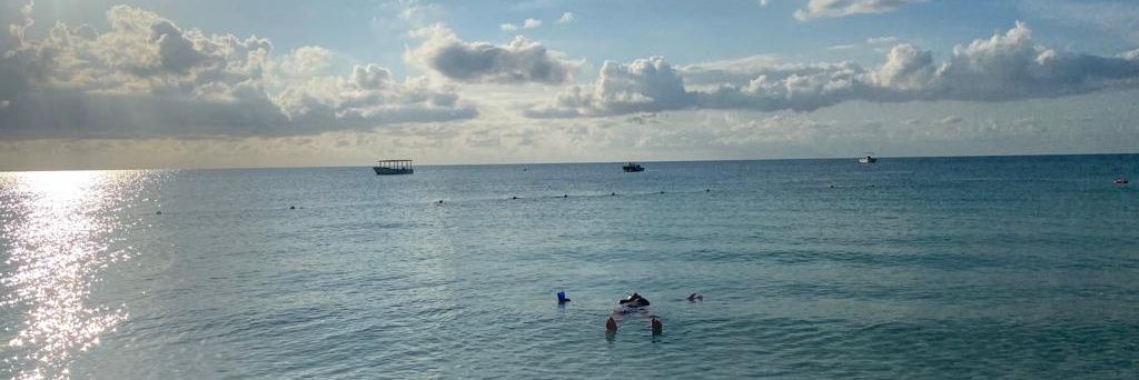 Zee's Quiet Storm 🎶 banner