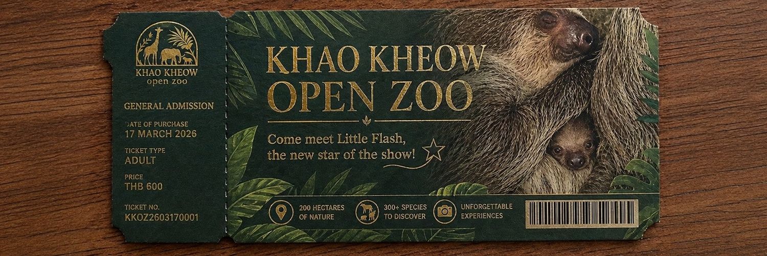 Little Flash banner