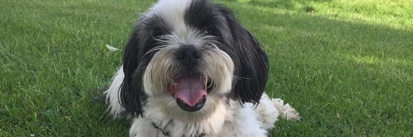 emstershaw Profile Banner