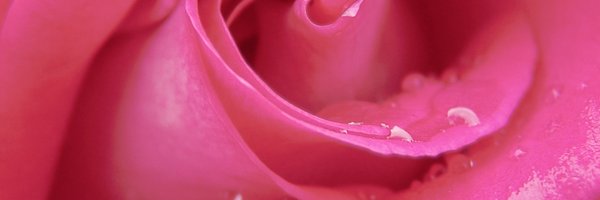 PamelaTorontoND Profile Banner