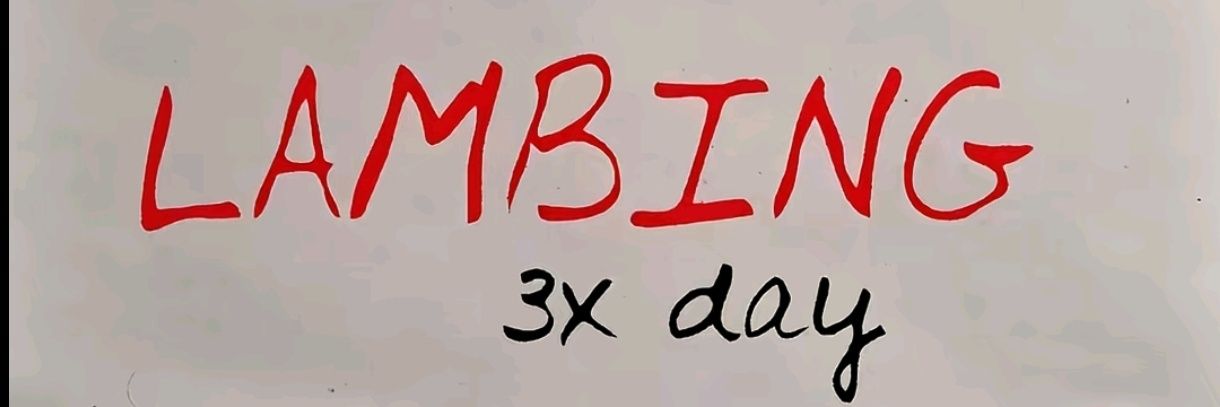 tember_senoria's profile banner image