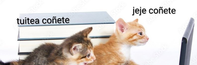 Teto Martínez banner