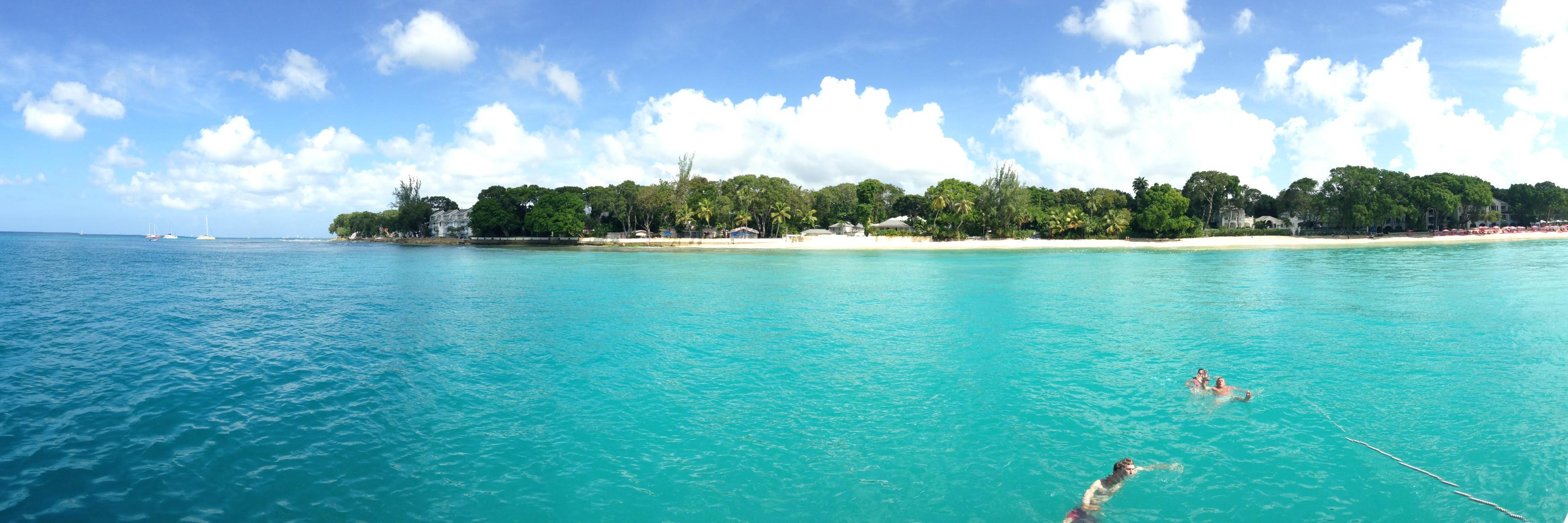 Melissa Wicks banner