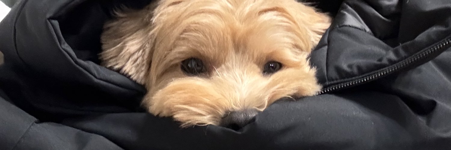 びつですが banner