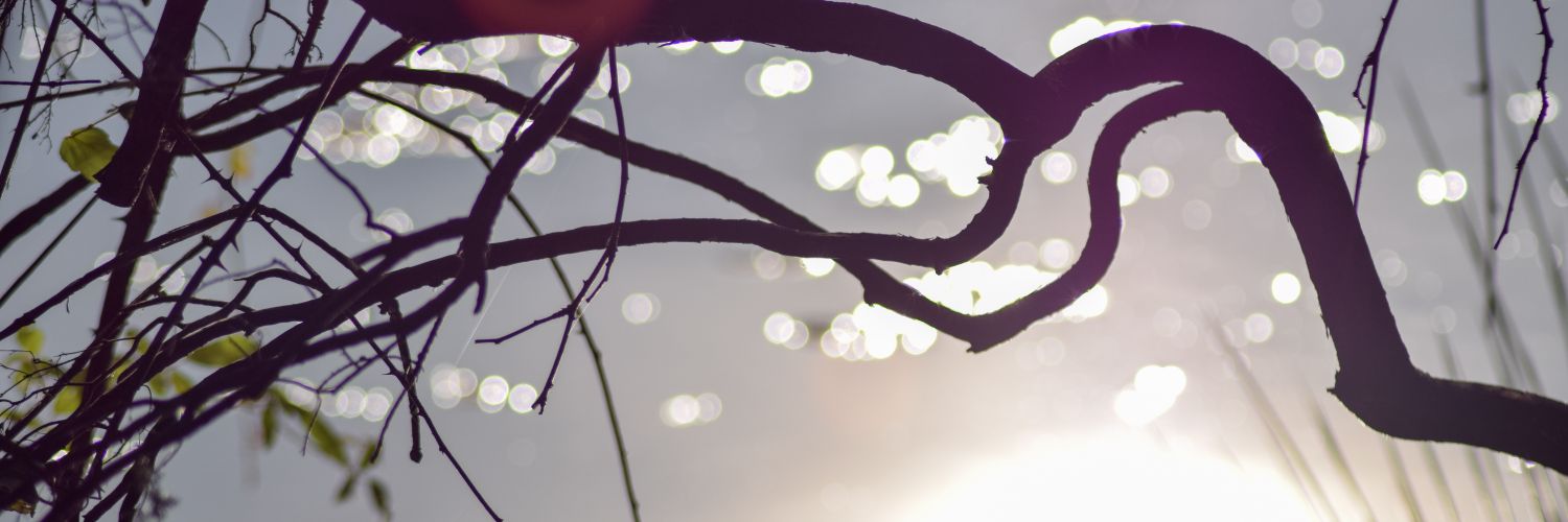 franxet's profile banner image