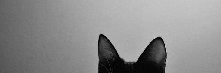 ficx | au loquinha banner