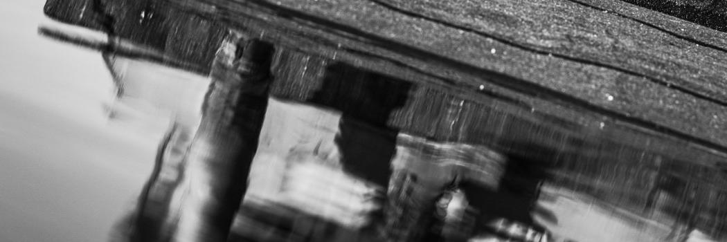 mpanknin's profile banner image