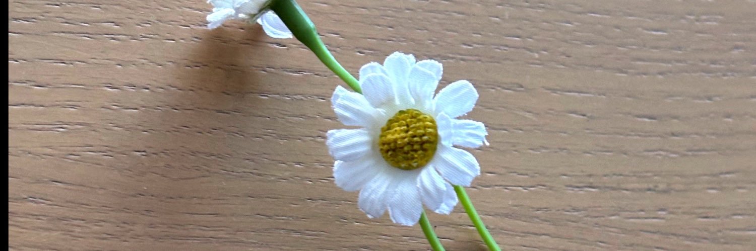 rowan updates 🌱 banner