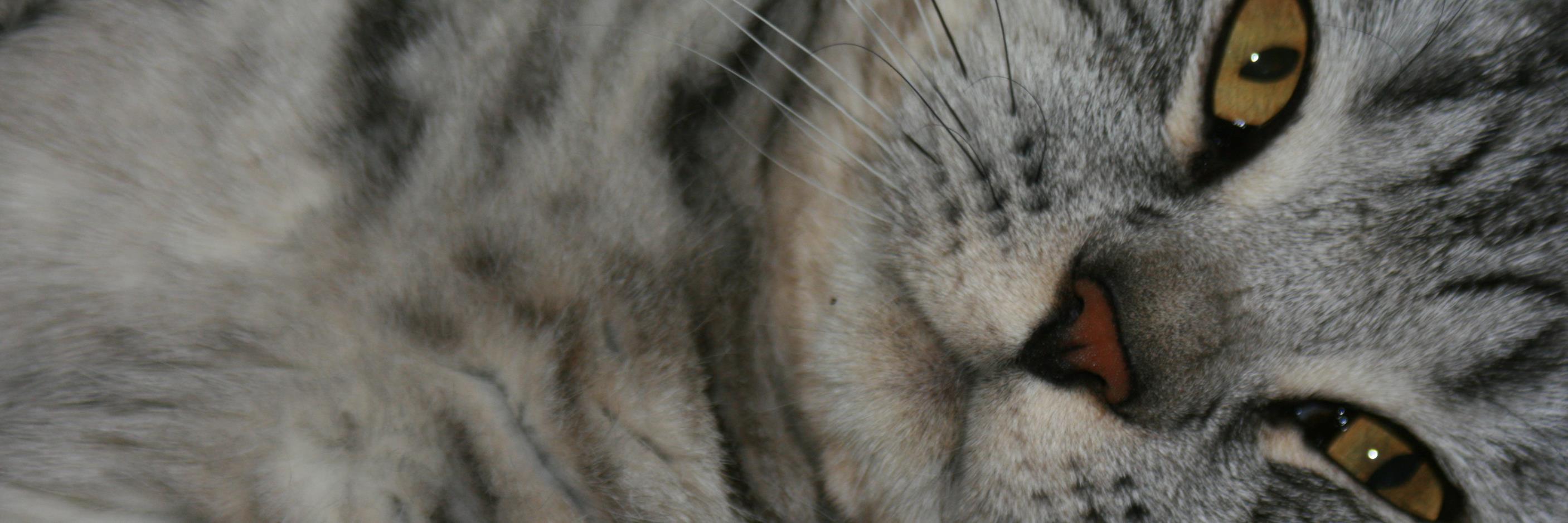 gilesquick's profile banner image