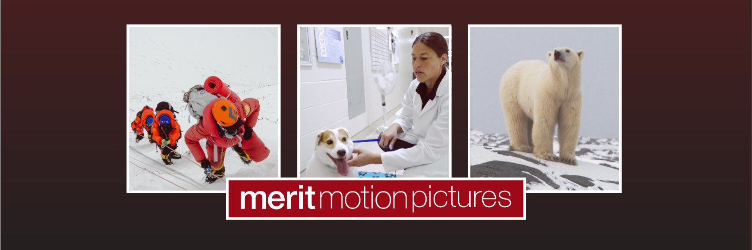 Merit Motion Pictures banner