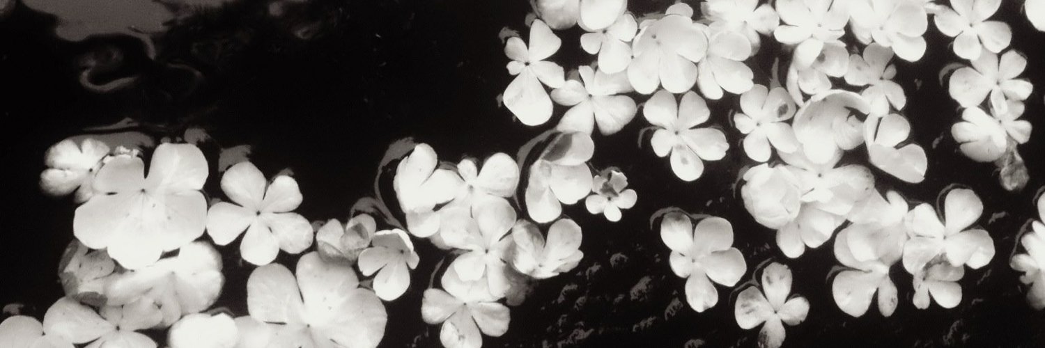 catphrodite's profile banner image