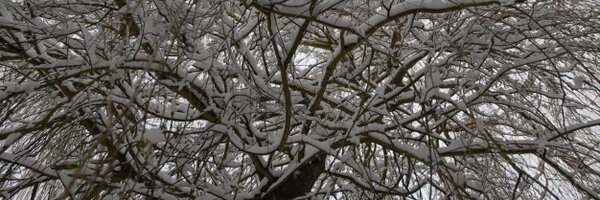 adrianbanks Profile Banner