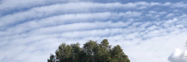 juliahino Profile Banner