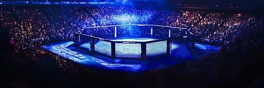 haymaker_mma banner