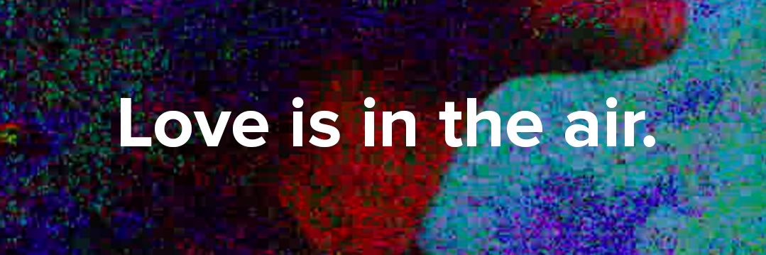 David Miranda banner