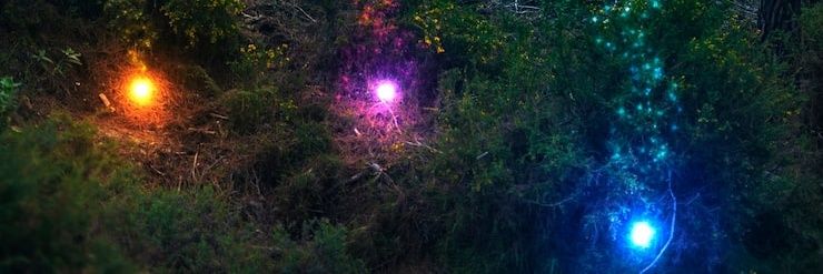 Bozo LeBoupip banner