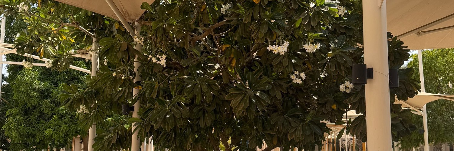 Jaaantyy's profile banner image