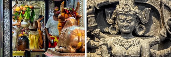 monidipadey Profile Banner