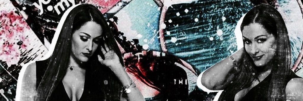 Nicole Bella parody not really Nikki Bella banner