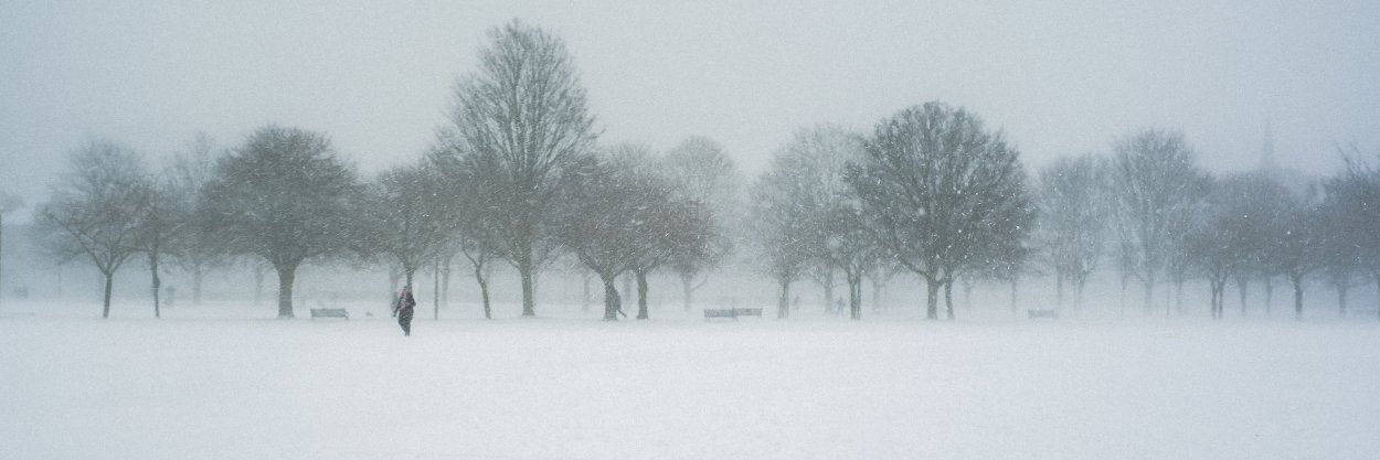 Charles Pierse banner